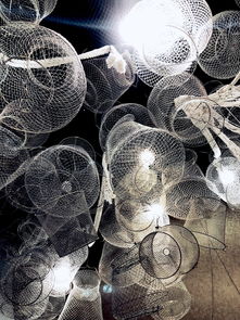 世界镜片品牌十大排名(世界知名镜片)