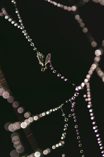 详细阅读:项链十大排名大全,项链排名前十名 项链十大排名大全,项链排名前十名