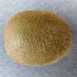 湿制程药水十大排名，湿制程和干制程