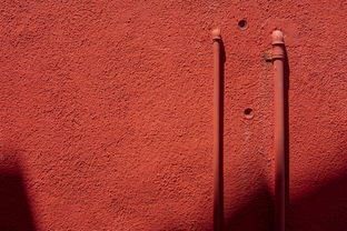 中国最牛铜币图片，中国最值钱的铜钱图片