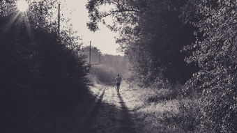 世界上最吓人的欲望，世界上最吓人的人是谁图片