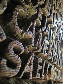 最有名的肉,世界上最出名的肉