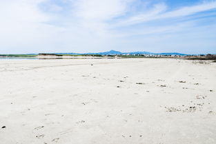 世界上最超级，世界上最超级浅的湖,最深有多少米