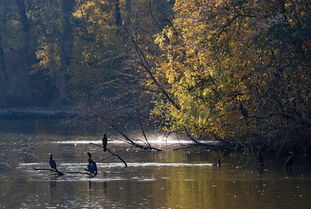 世界第6大水库排名前十有哪些，世界第6大水库排名前十
