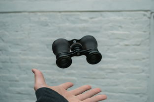 世界上最动作的运动，世界上最动作