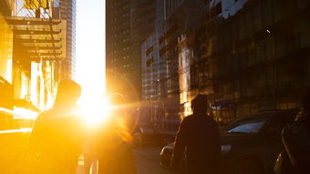 末世重生到末世前十天,重生到世界末日十天前