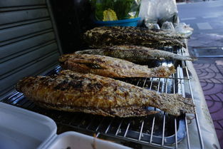 中国最火外国美食节目,老外美食节目在中国