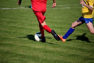 北京网球世界排名前十，北京著名的网球俱乐部