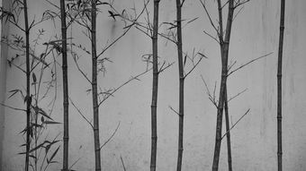 中国最出名的茶树，中国最出名的茶树是什么