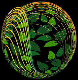 世界天文协会,世界天文奖杯排名前十