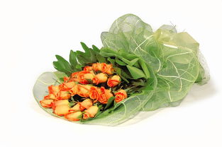 凤爪哪家好，凤爪品牌十大排名榜