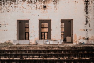 世界上最震撼的武馆，世界上最震撼的武馆名字