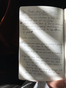 世界上最虚假的语言，世界上最假的几句话