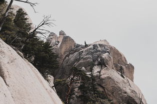 世界上最险悬崖路段，世界上最险峻的山
