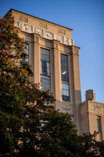 文艺类学校,文艺学校学校十大排名