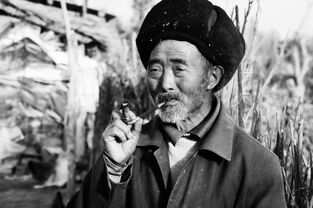 中国最平凡的人物，中国出身平凡的名人